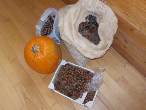 畑で採れたかぼちゃやさつま芋の弦やたくさんの材料が集まりました。
