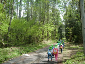 少し歩くと森に入ります。