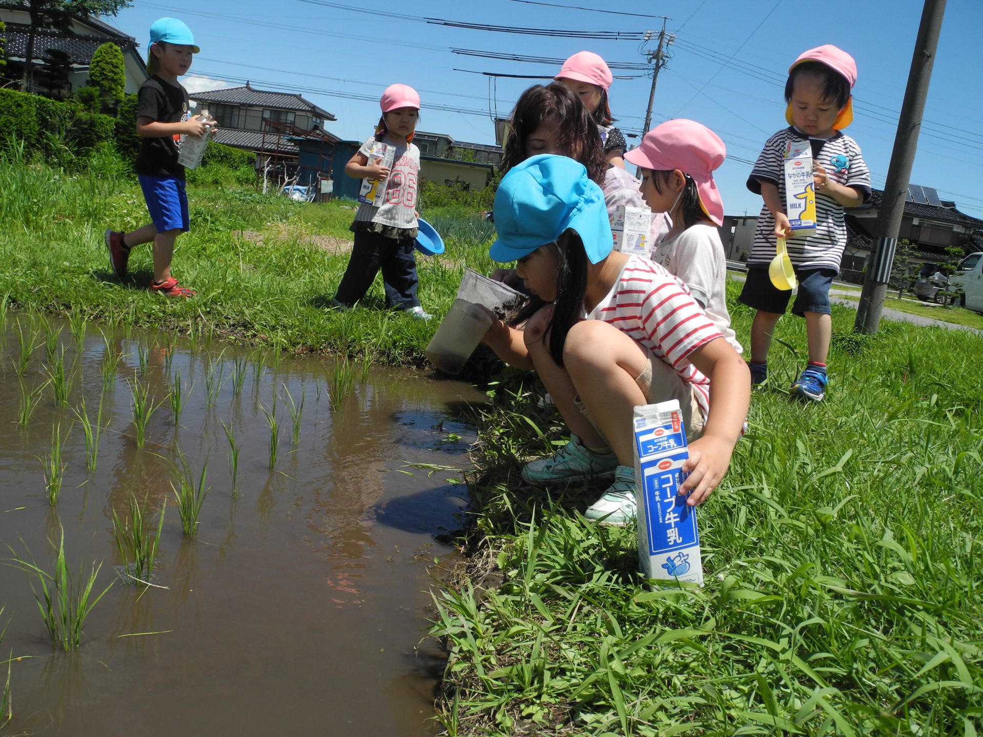 おたまじゃくしとり 信州やまほいくの郷