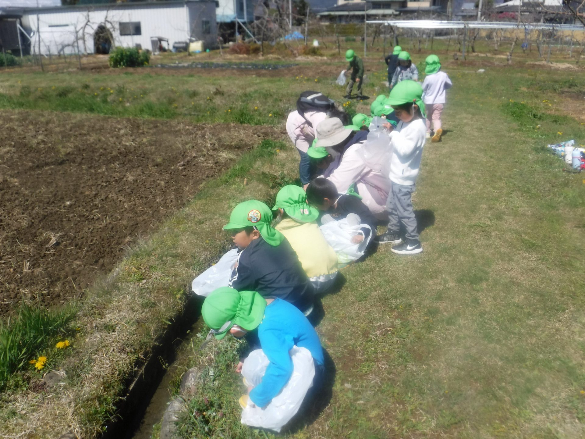 よもぎ摘み 信州やまほいくの郷