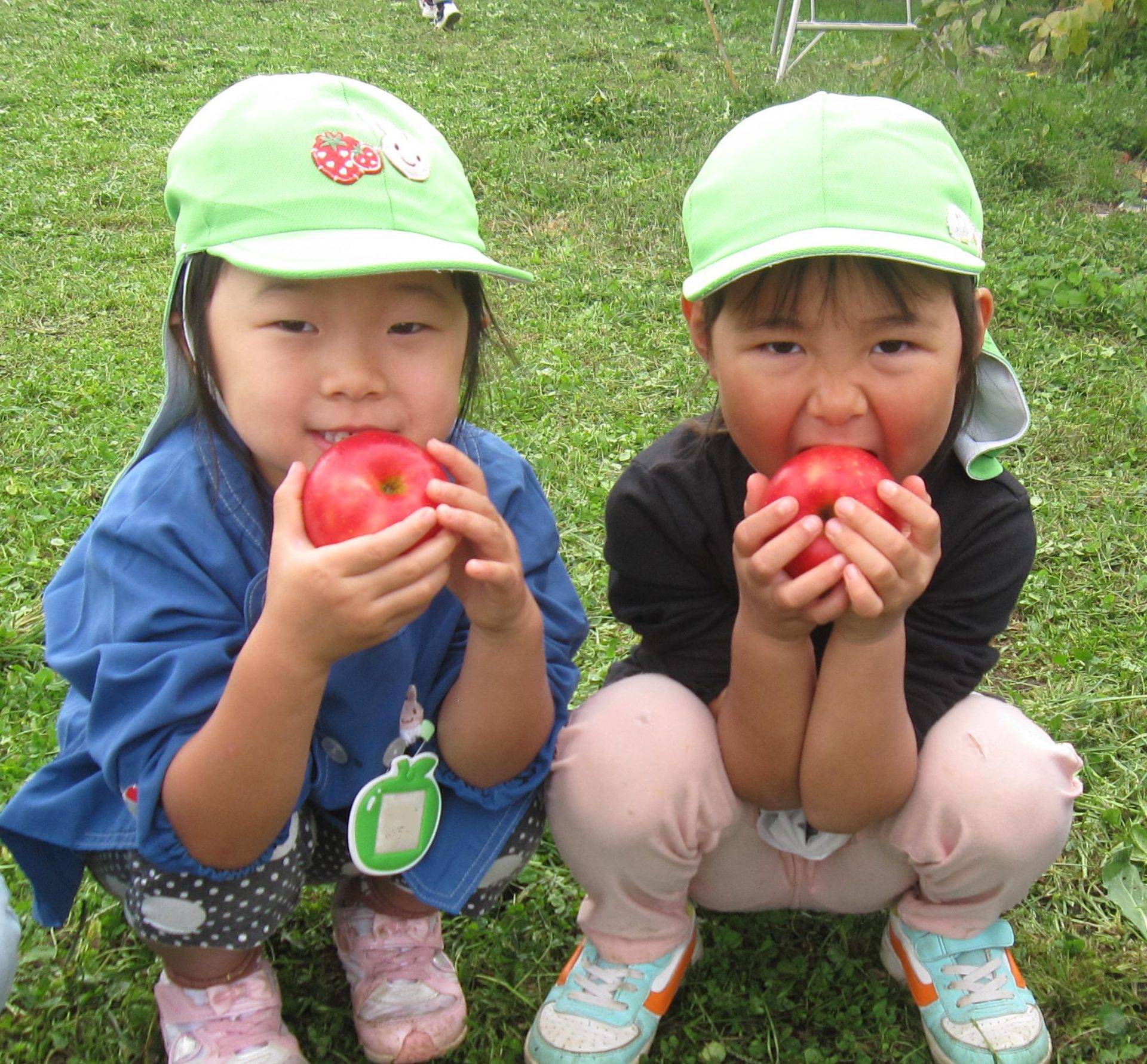 しなのピッコロ リンゴ狩り 信州やまほいくの郷