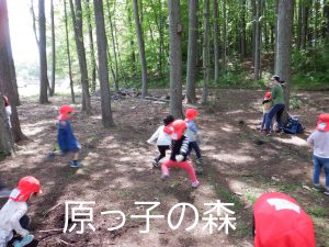 原っ子の森で遊ぶ子どもたち