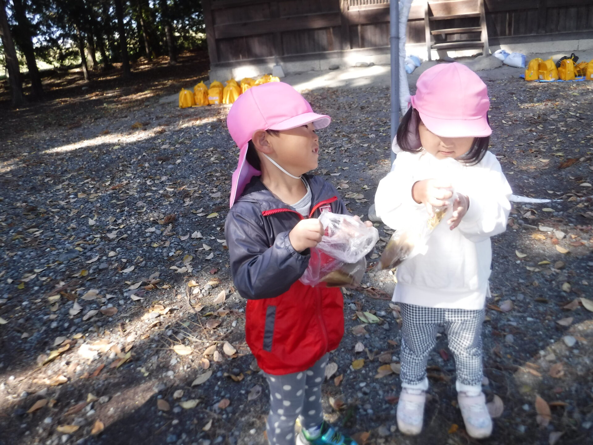 どんぐり楽しいね！ - 信州やまほいくの郷