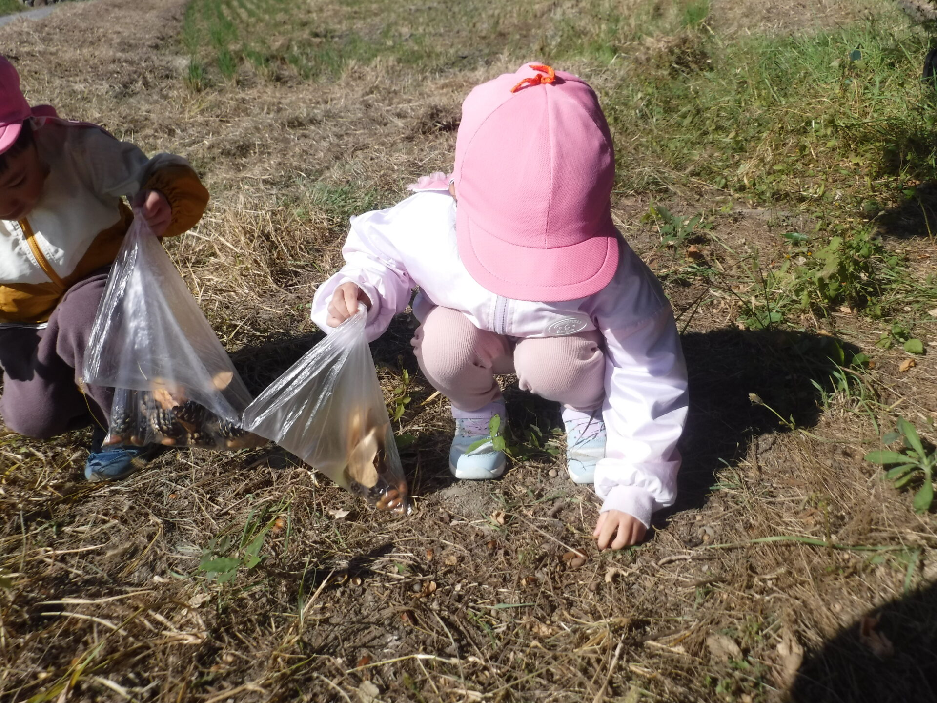 どんぐり楽しいね！ - 信州やまほいくの郷