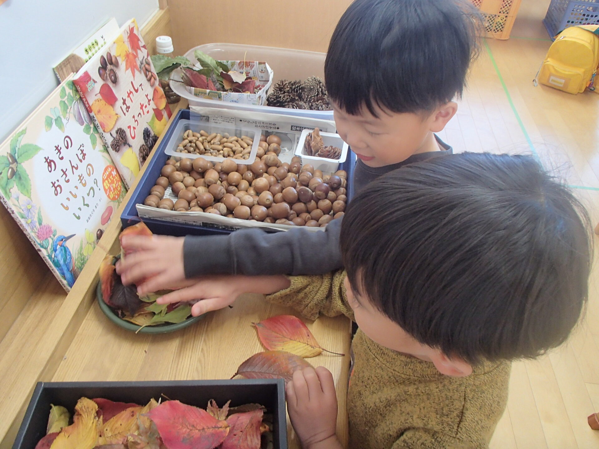 どんぐり楽しいね！ - 信州やまほいくの郷